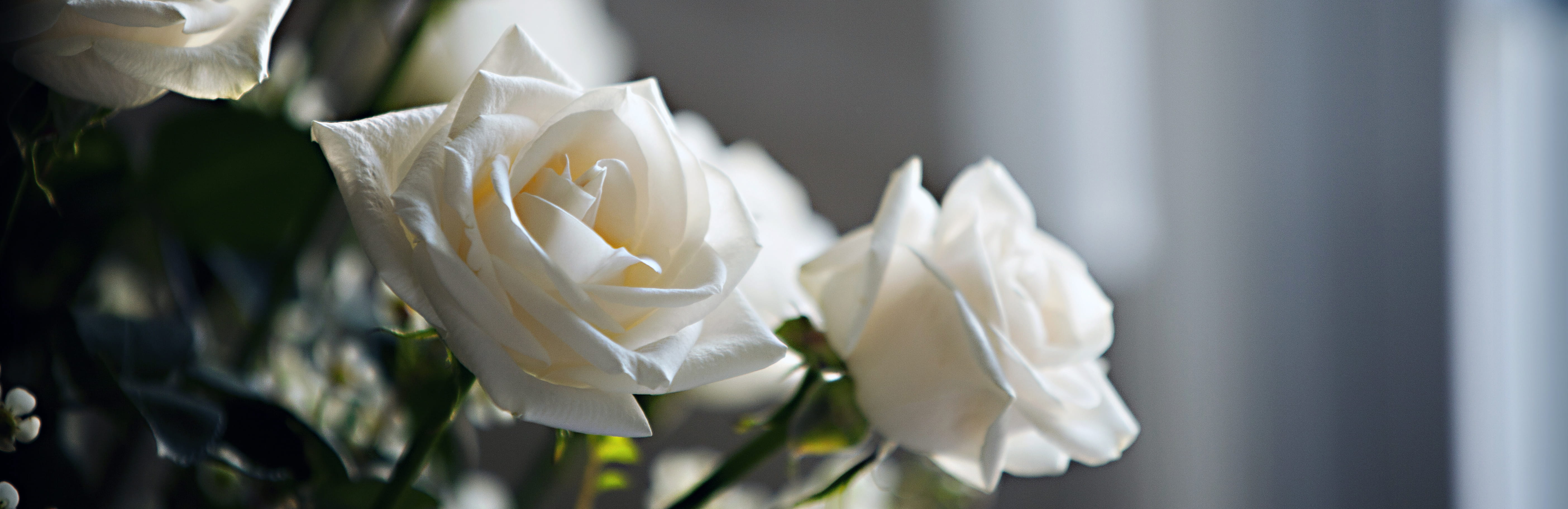 In meaningful memory: Donor advised funds as living legacies